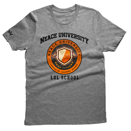 Lolschool Tee - Gray
